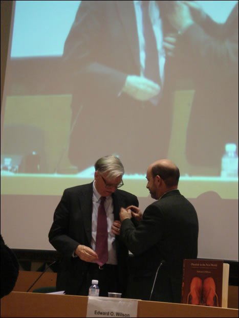 WilsonWagensbergCosmoCaixa